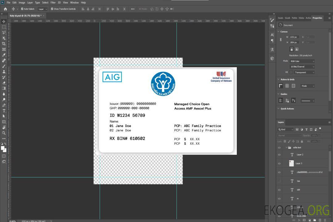 Carte d'assurance maladie du Vietnam template